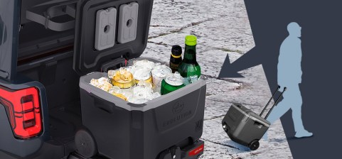 Evolution DMAX  Limo Cooler1